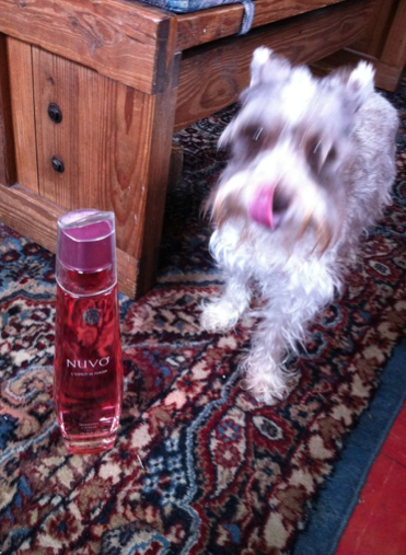 Screen shot 2011-09-15 at 11.07.24 PM